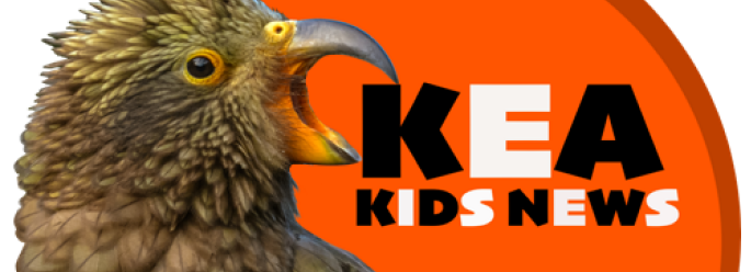 Kea Kids News Logo